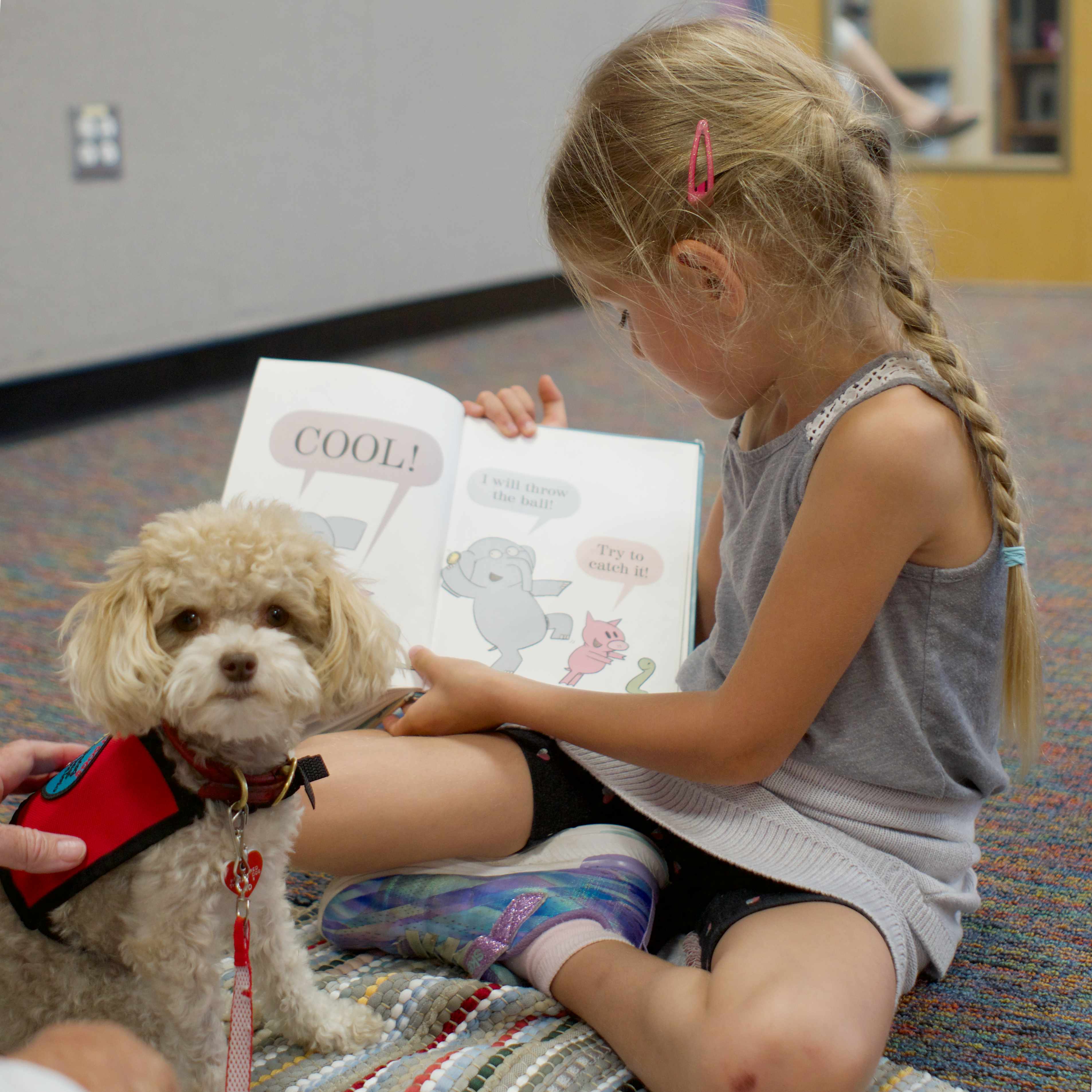 Child reading a book to a small therapy dog.