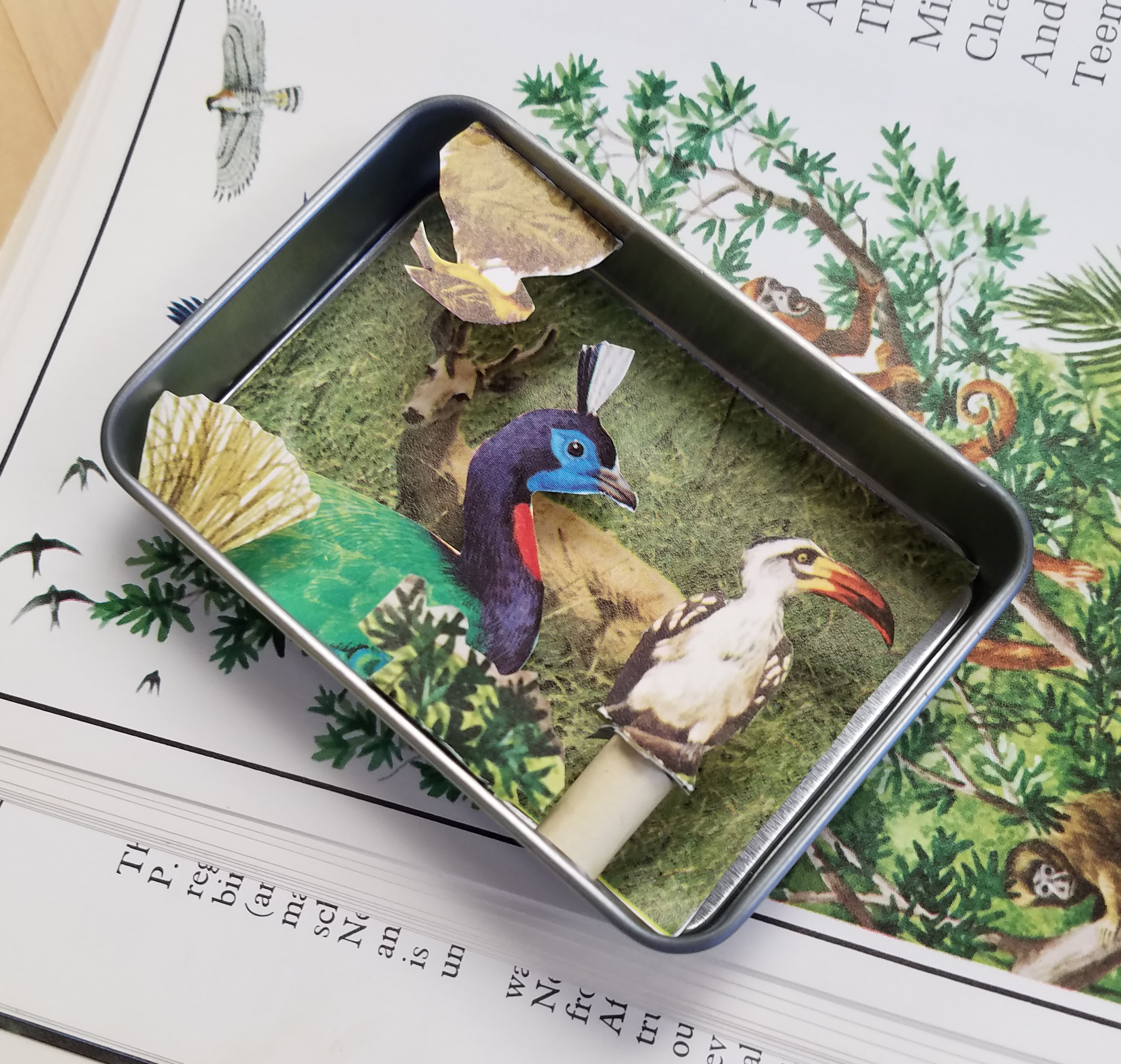 Paper collage of peacock and bird cutouts assembled inside a metal tin, placed on a nature book