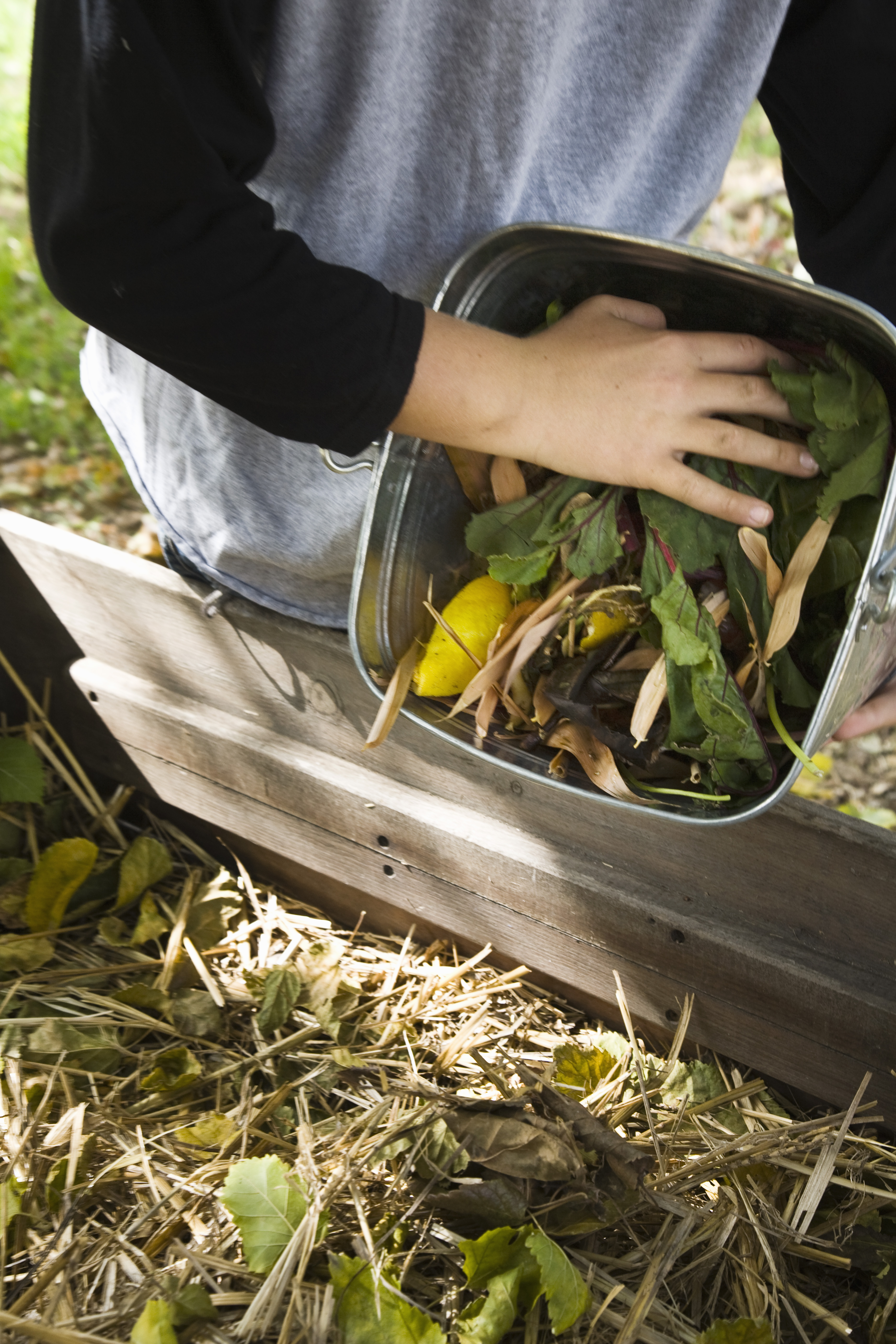 Child moves food scraps into compost bin filled with leaves and straw