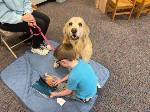 Child reading to a golden retriever.