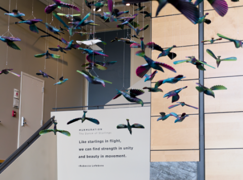 photo of murmurations installation