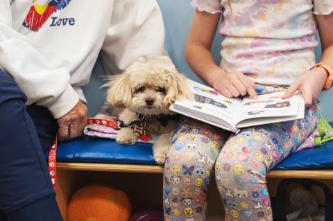 Child reading a book to a small poodle with an adult.