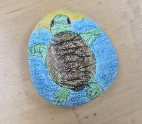 Turtle painted on a rock with a blue background.