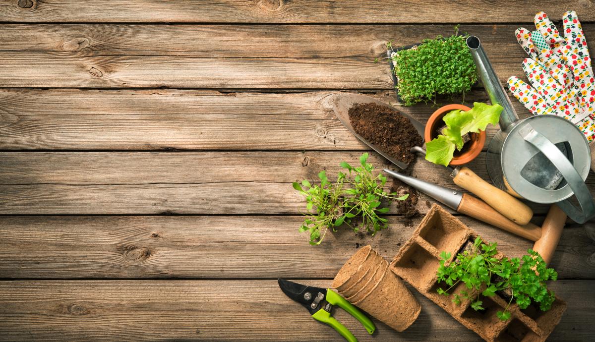 Gardening tools on wood surface