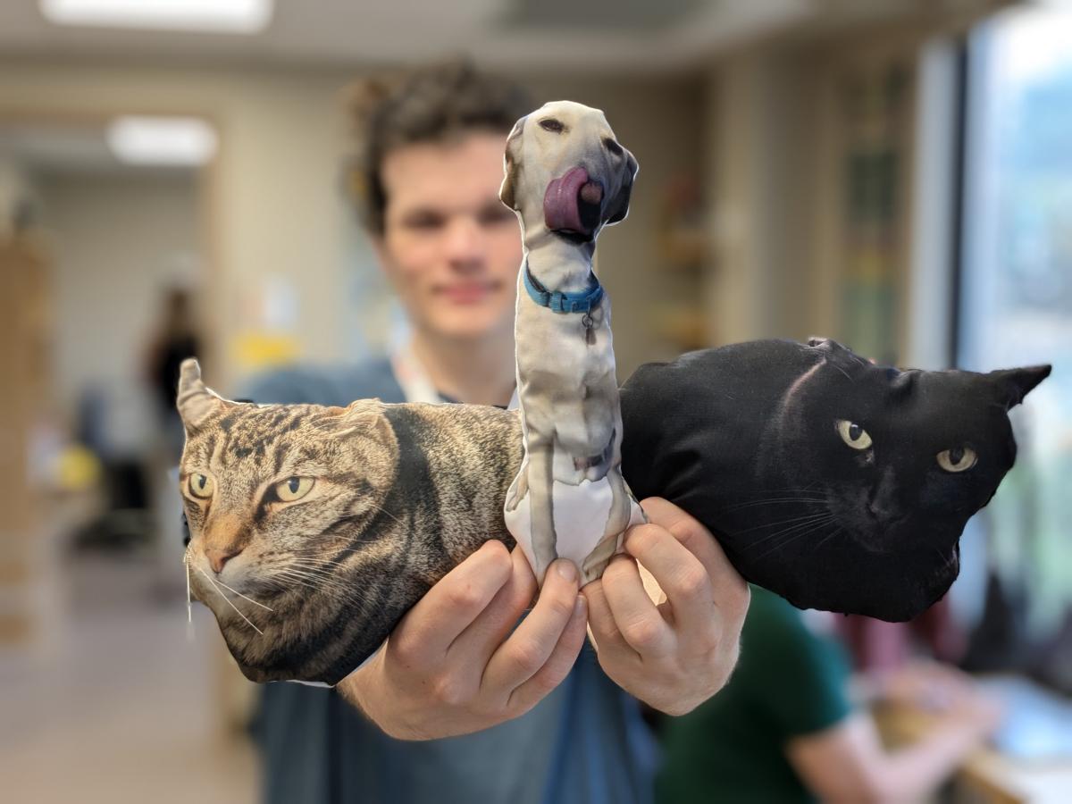 Two stuffed cats (image of cat on pillow) and one stuffed dog (image of dog on fabric sewn into a pillow).