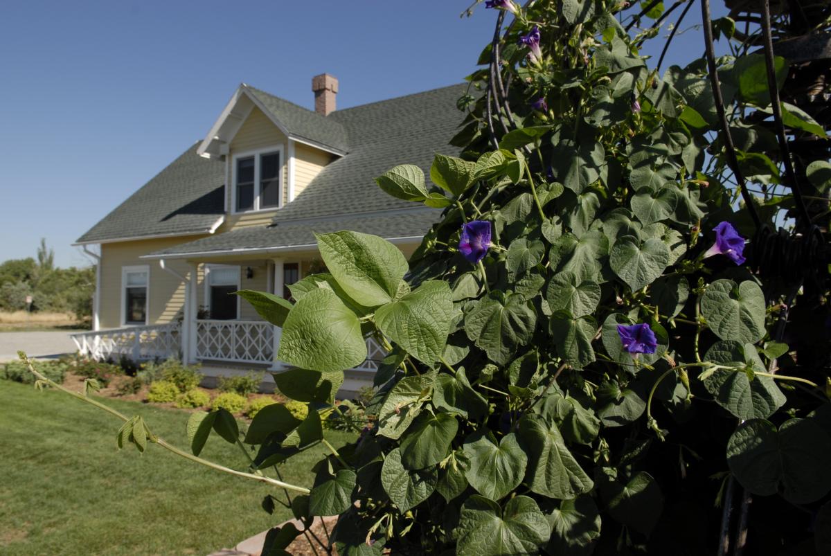 Brunner Farmhouse Garden