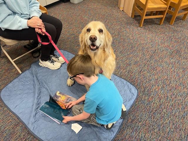 Child reading to a golden retriever.