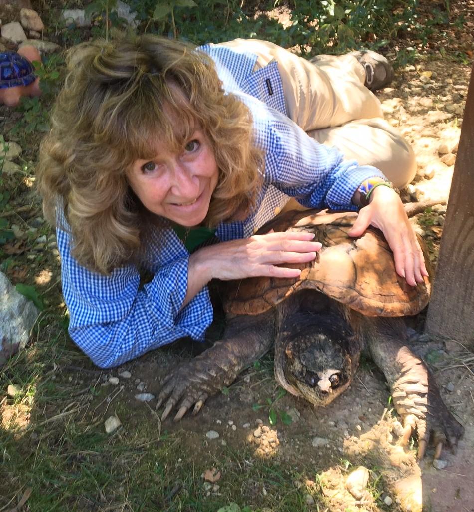 Author Sy Montgomery next to large snapping turtle