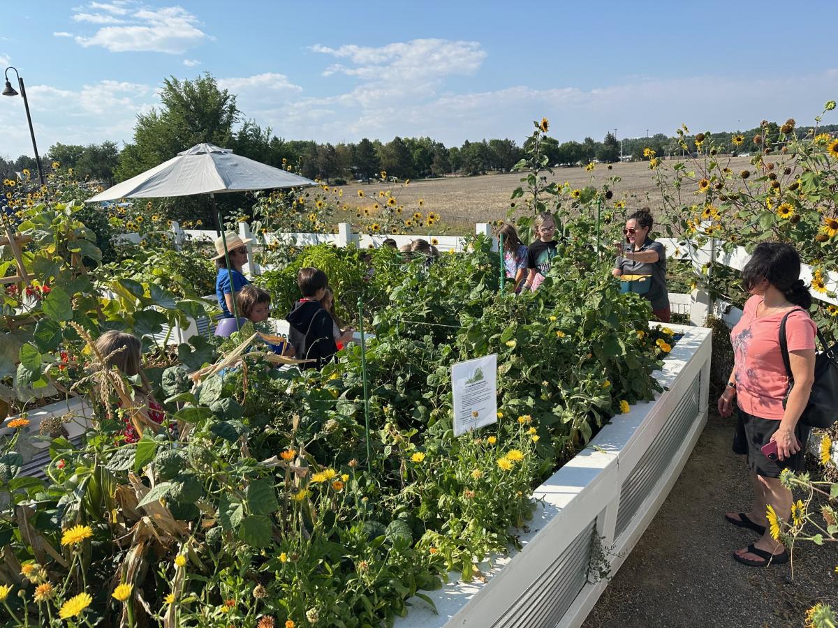 Brunner Farmhouse garden in summer with children and adults walking through the garden boxes.